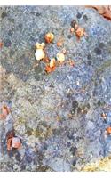 Acorn Pieces Rock Surface Journal: (Notebook, Diary, Blank Book)(Nature Photo Journals Notebooks Diaries)