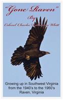 Gone Raven