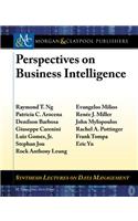 Perspectives on Business Intelligence