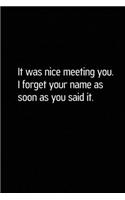 It Was Nice Meeting You. I Forget Your Name as Soon as You Said It.