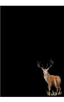 Deer Journal