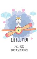 2018 - 2020 Three Year Planner