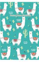 Cactus Llama Notebook