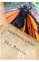 Something Loved: a collection of love poems to an old love