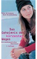 Das Geheimnis Des Kürzesten Weges: Ein Mathematisches Abenteuer