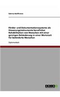 Förder- und Dokumentationssysteme als Steuerungsinstrumente beruflicher Rehabilitation von Menschen mit einer geistigen Behinderung in einer Werkstatt für behinderte Menschen