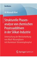 Strukturelle Phasenanalyse von chemischen Prozessadditiven in der Silikat-Industrie