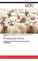 Produccion Ovina