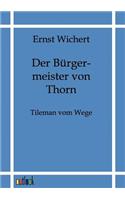 Der Bürgermeister von Thorn: Tileman Vom Wege(German)