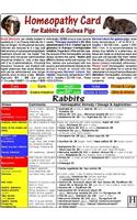 Homeopathy for Rabbits & Guinea Pigs