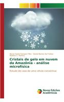 Cristais de gelo em nuvem da Amazônia - análise microfísica