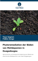 Phytoremediation der Böden von Mülldeponien in Ouagadougou