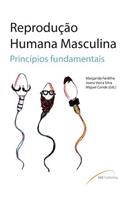 Reprodução Humana Masculina