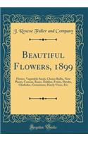 Beautiful Flowers, 1899: Flower, Vegetable Seeds, Choice Bulbs, New Plants, Cannas, Roses, Dahlias, Fruits, Shrubs, Gladiolus, Geraniums, Hardy Vines, Etc (Classic Reprint)
