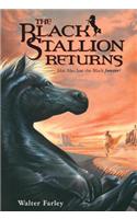 The Black Stallion Returns