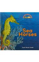 Sea Horses