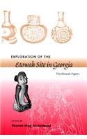Exploration of the Etowah Site in Georgia