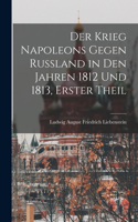 Krieg Napoleons Gegen Russland in Den Jahren 1812 Und 1813, Erster Theil