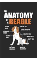 The Anatomy Of A Beagle