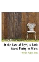 At the Foor of Eryri, a Book about Poetry in Wales