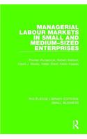 Managerial Labour Markets in Small and Medium-Sized Enterprises