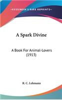 A Spark Divine