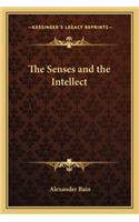 The Senses and the Intellect the Senses and the Intellect