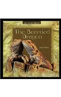 Bearded Dragon