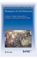 Strategies of Life Detection