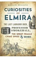 Curiosities of Elmira