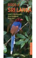 Birds of Sri Lanka