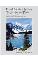 From Delicate Lily Pads To Sculptured Peaks: Landscape Photography with Verse Impressions from North America, Scandinavia and New Zealand