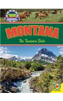 Montana: The Treasure State