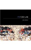 Pix' Ced Lab: Ced Vernay(English)