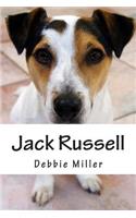 Jack Russell: A dog journal for you to record your dog's life as it happens!