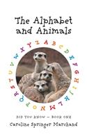 Alphabet and Animals
