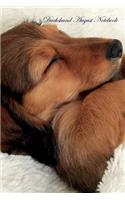 Dachshund August Notebook Dachshund Record, Log, Diary, Special Memories, To Do List, Academic Notepad, Scrapbook & More