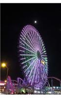 Ferris Wheel at Amusement Park Journal: 150 page lined notebook/diary