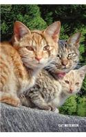 Cat Notebook: 6x 9 Lined Notebook- Cat Composition Notebook- Journal And Diary-100 Pages (Volume 36)