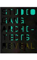 Reveal: Studio Gang Architects