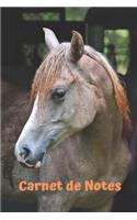 Carnet de Notes