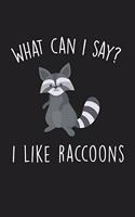 What Can I Say I Like Raccoons