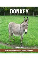 Fun Learning Facts about Donkey