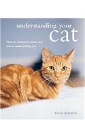 Understanding Your Cat: How to Interpret What Your Cat Is Really Telling You