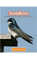 Swallow: Fun Facts and Amazing Photos of Animals in Nature