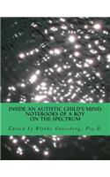 Inside an Autistic Child's Mind