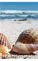 Seashells Notebook