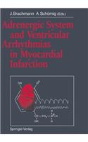 Adrenergic System and Ventricular Arrhythmias in Myocardial Infarction