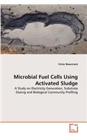 Microbial Fuel Cells Using Activated Sludge