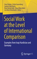 Social Work at the Level of International Comparison